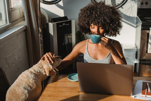 Top 5 Lifestyle Websites Every Woman Should Bookmark | Sugarcoat