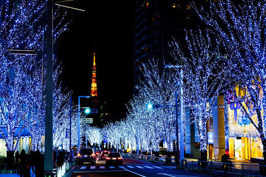 Global Holiday Traditions - Celebrate the Season with Sugarcoat